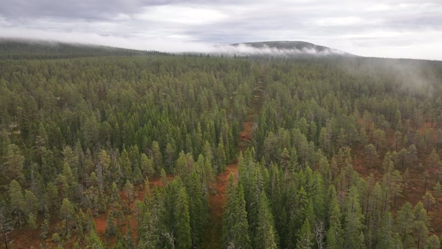 Grensen i Trysil.Reidar Gregersen / NRK