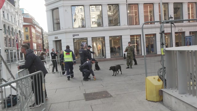 Politihund på Karl Johans gate i Oslo onsdag morgen. Foto: LOKMAN GHORBANI/NRK