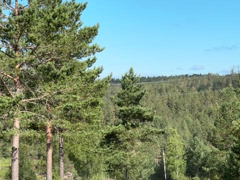 Helikopter med vannbøtte flyr i Birkenes.Epsen Bierud / NRK