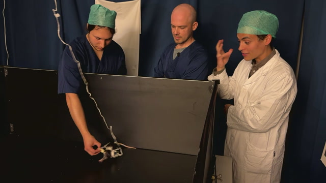 Når rotta ryggar kan forskarane sjå at sveipa i det mentale kartet går bakover.Foto: Jøte Toftaker/Kavli senteret